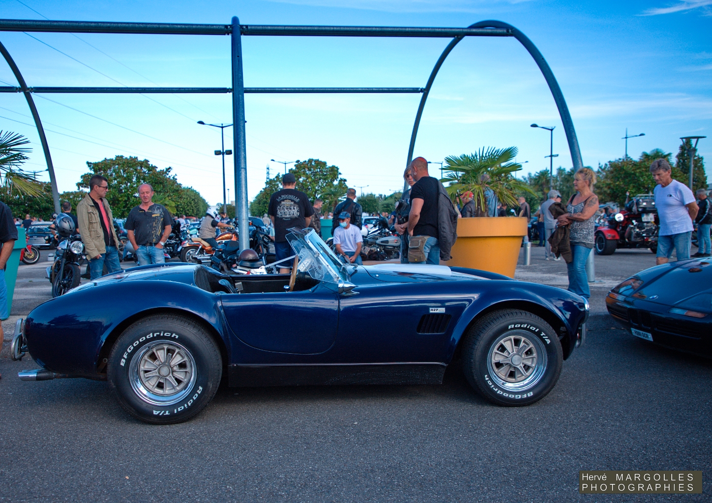 AC Cobra-01.jpg